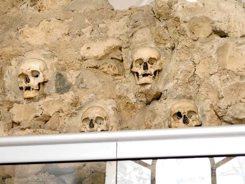 From Belgrade: Ni and Devil's Town Private Day Tour - Transportation and Practical Details