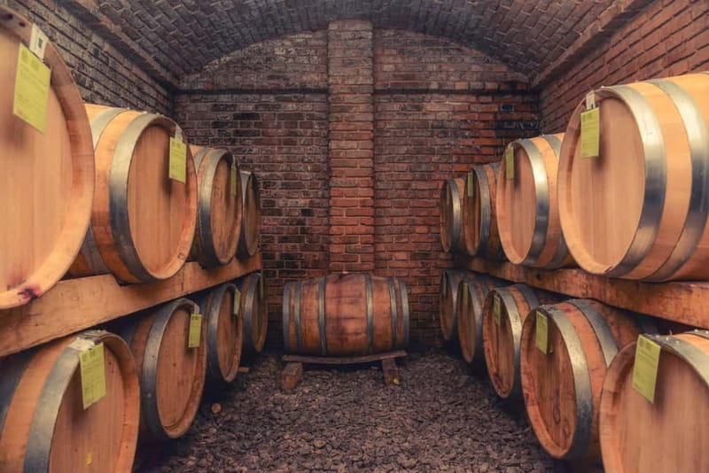 From Belgrade: Novi Sad and Sremski Karlovci Day Trip - Price and Practical Details