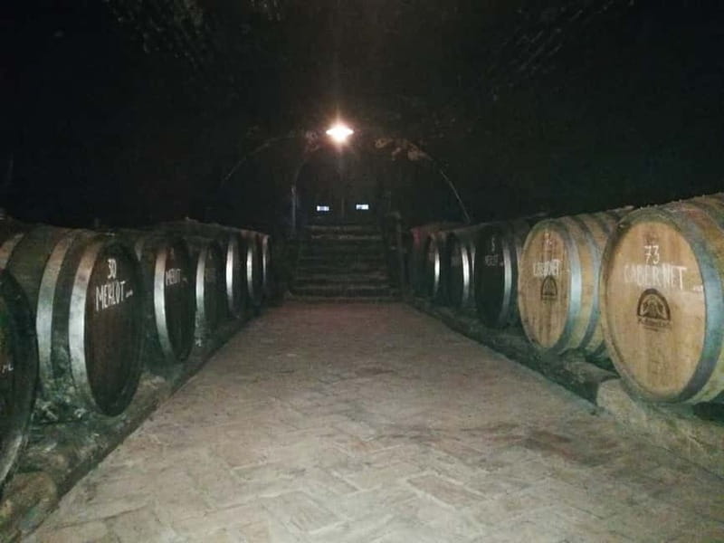 From Belgrade: Novi Sad & Fruska gora & winery and monastery - Tasting Bermet: A Sweet Serbian Legend