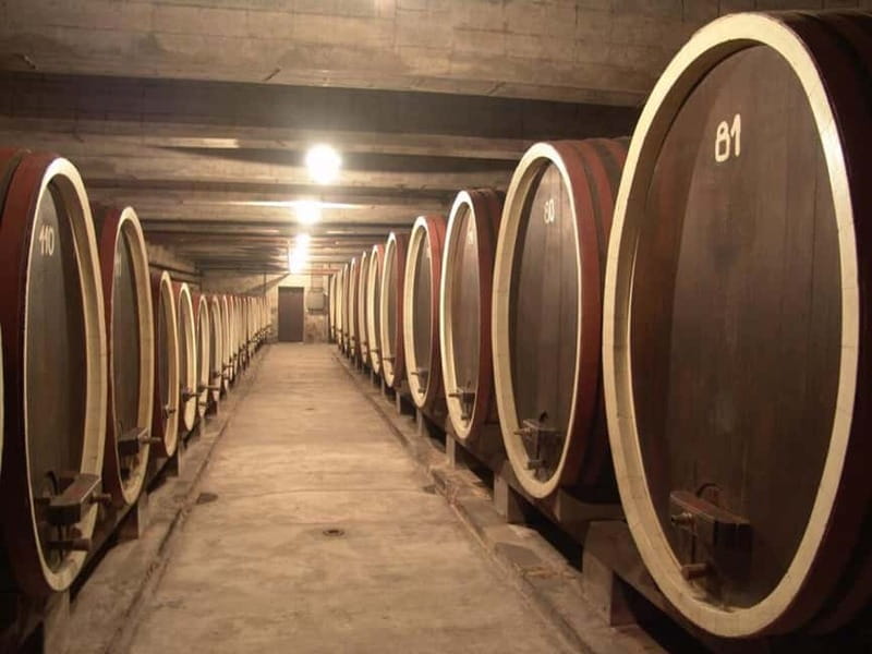 From Belgrade: Oplenac mausoleum Royal tour with winery - What to Expect and Practical Tips