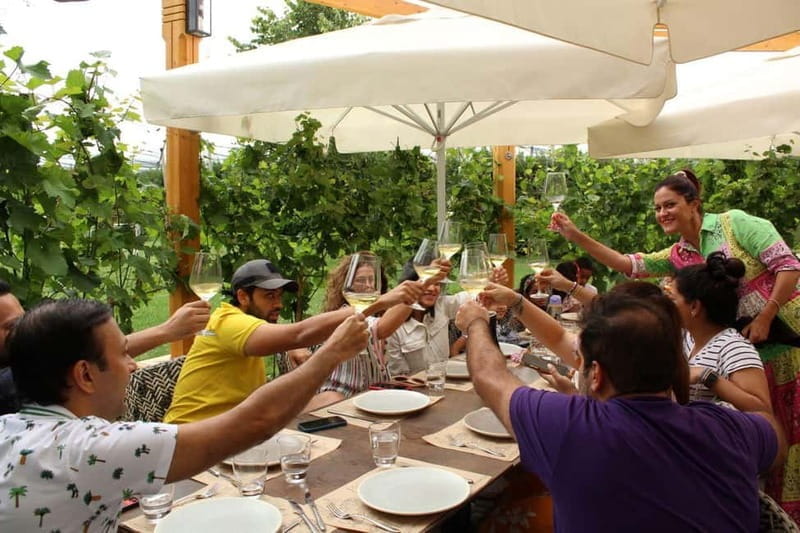 From Belgrade or Novi Sad: Private Wine Tour in Fruska Gora - Key Points / Takeaways