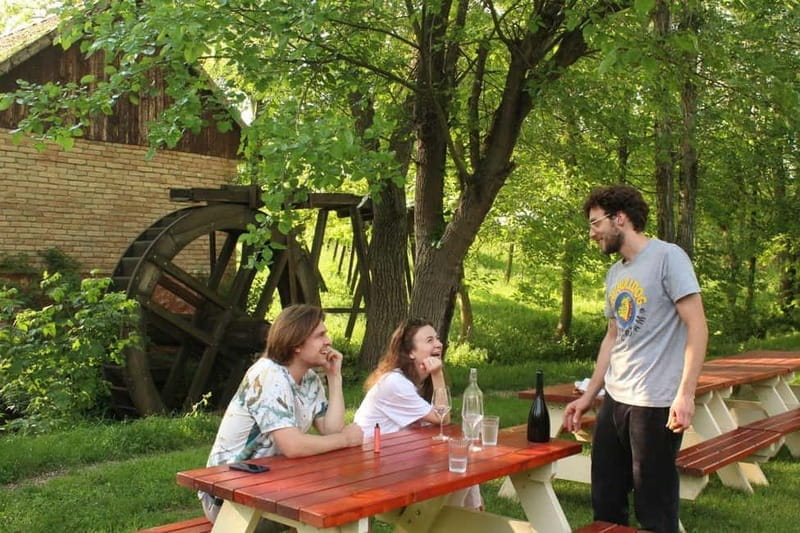 From Belgrade or Novi Sad: Private Wine Tour in Fruska Gora - Practical Details and Value