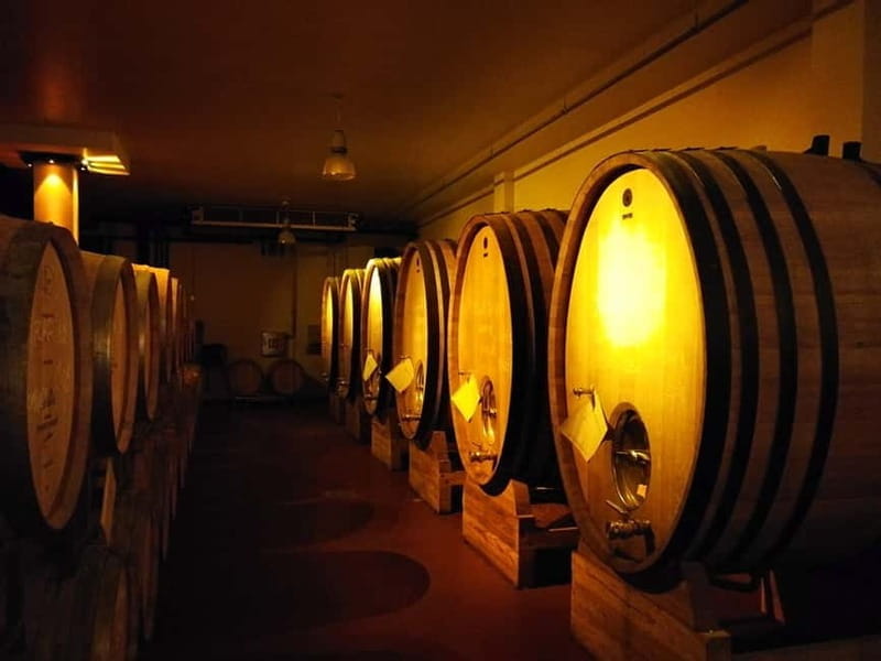 From Belgrade: Subotica and Palic Full-Day Trip with winery - Discovering the Charm of Subotica and Palic Lake