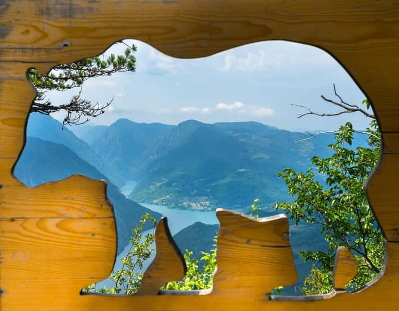 From Belgrade: Tara National Park & Drina River Valley Tour - Key points / Takeaways