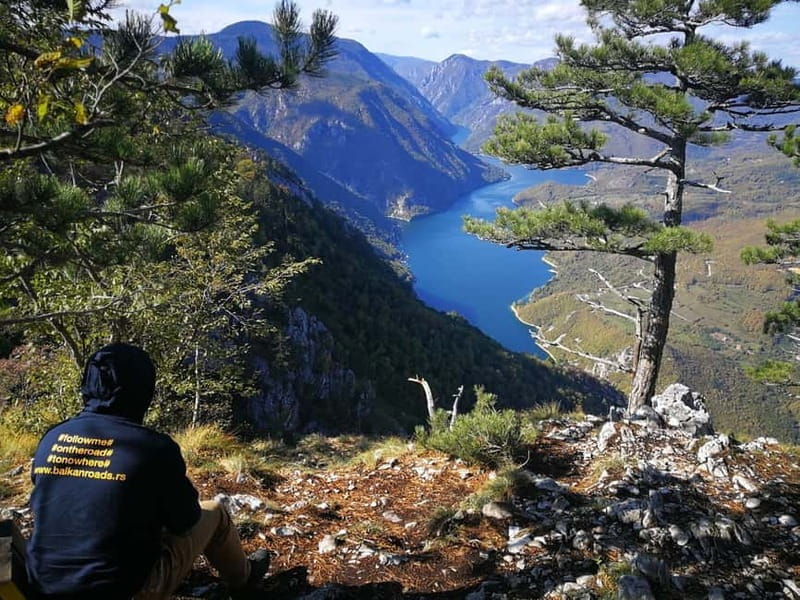 From Belgrade: Tara NP & Drina river & House on the Drina - Entering Serbia’s Scenic Heart: The Itinerary in Detail