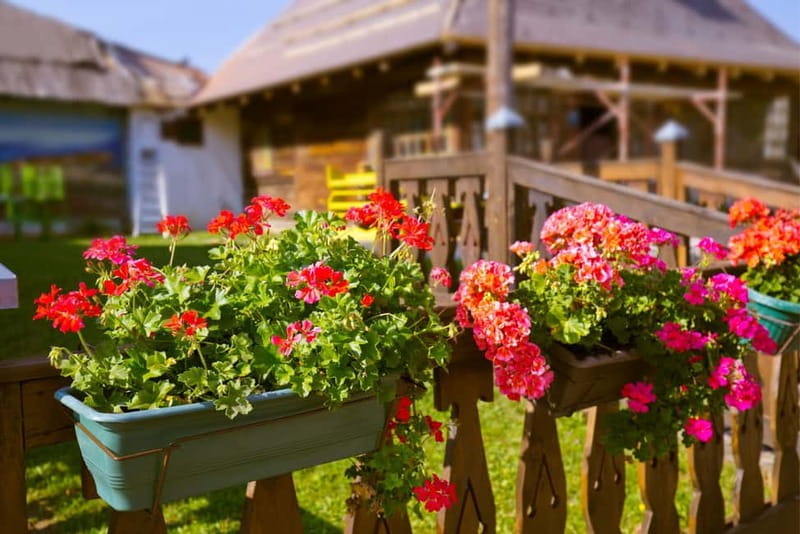 From Belgrade to Sarajevo: Western Serbia Private Day Tour - Final Thoughts