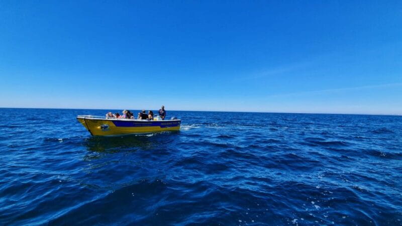 From Benagil: Benagil Cave & Marinha Beach Express Tour - Key points / Takeaways