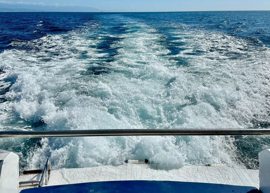 From Benalmádena & Torremolinos: Dolphin Watch Boat Trip - Experience Highlights