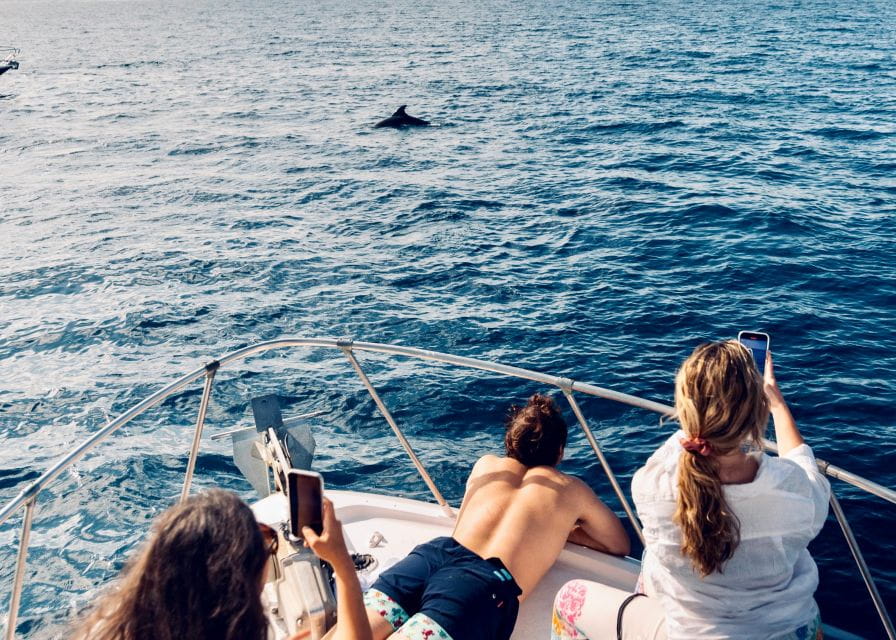 From Benalmádena & Torremolinos: Dolphin Watch Boat Trip - Things To Know