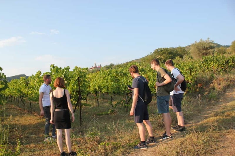 From Berat: Guided Winery Tour with Transfers and Tastings - Key points / Takeaways