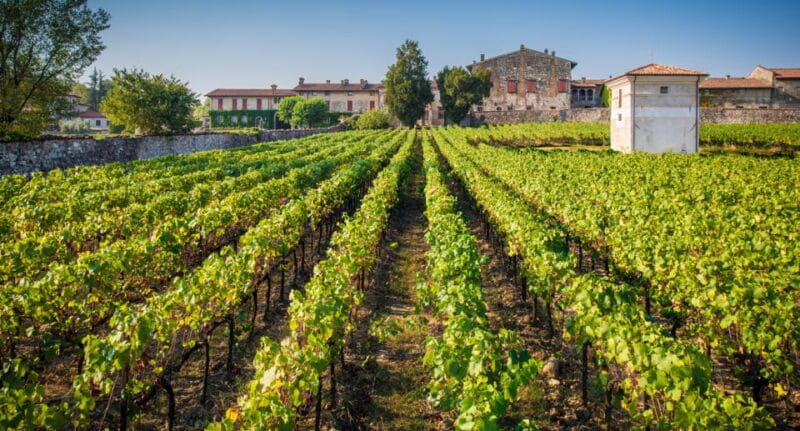 From Bergamo: Winery Tour in Franciacorta with Lunch - Lake Iseo: Lunch with a View