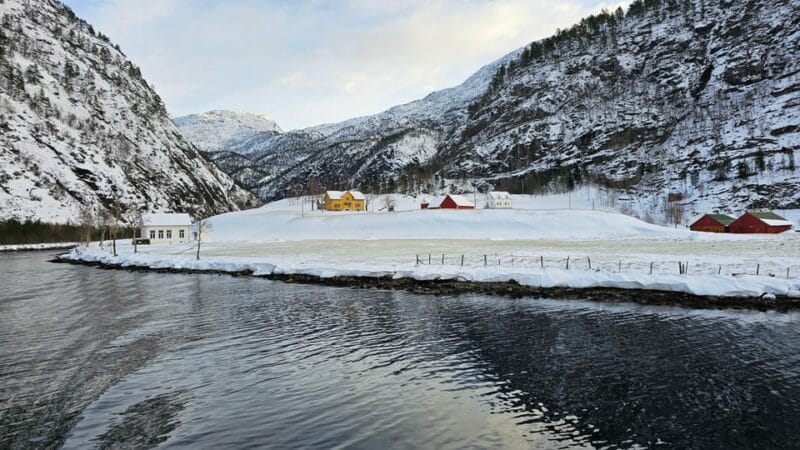 From Bergen: The Original Fjord Cruise to Mostraumen - The Value of a 3.5-Hour Fjord Cruise