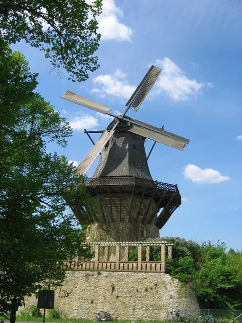 From Berlin: Gardens & Palaces of Potsdam Bike Tour - Key Points / Takeaways