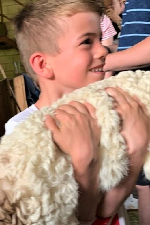 From Bilbao: San Sebastian and Basque Cheese Farm Tour - Key points / Takeaways