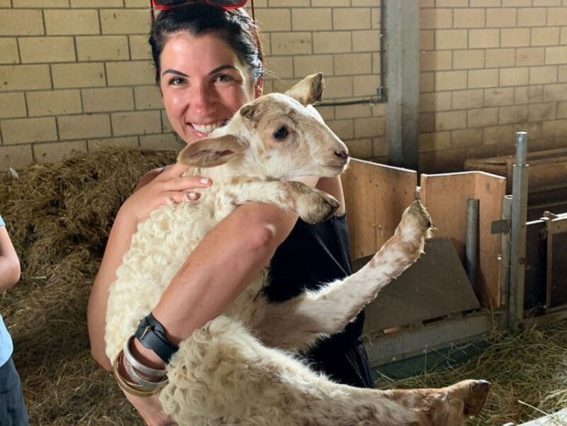 From Bilbao: San Sebastian and Basque Cheese Farm Tour - Practical Tips for a Smooth Day