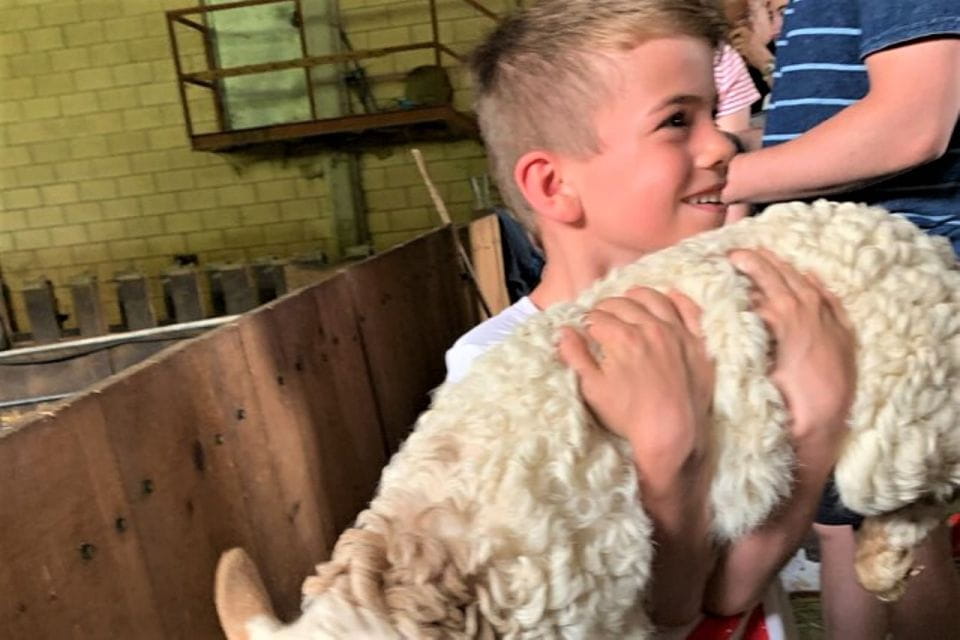 From Bilbao: San Sebastian and Basque Cheese Farm Tour - Cheese-Making Experience