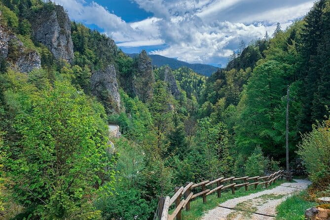 From Bled: Crystal River Hike - Who Will Love This Experience