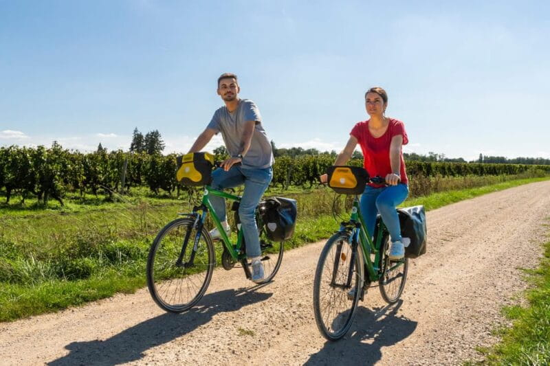 From Blois: Cheverny, Wine Tasting & Cycling - What Makes This Tour Stand Out?
