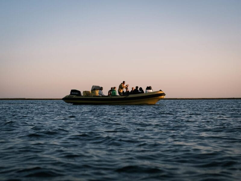 From Boat to Table: Ria Formosa Sunset and Tasting - Key points / Takeaways