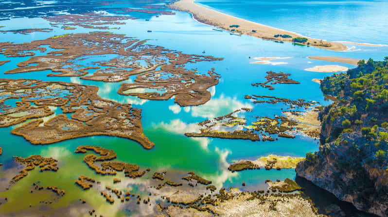 From Bodrum: Dalyan, Turtle Beach, and Mud Baths Day Trip - Who Is This Tour Best For?