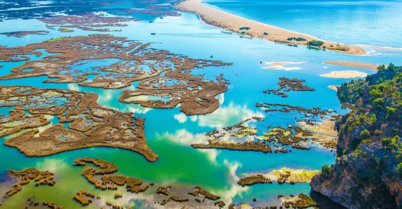 From Bodrum: Dalyan, Turtle Beach, and Mud Baths Day Trip - Final Verdict