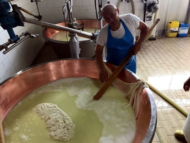 From Bologna: Emilia Excellence Food Tour - Key points / Takeaways