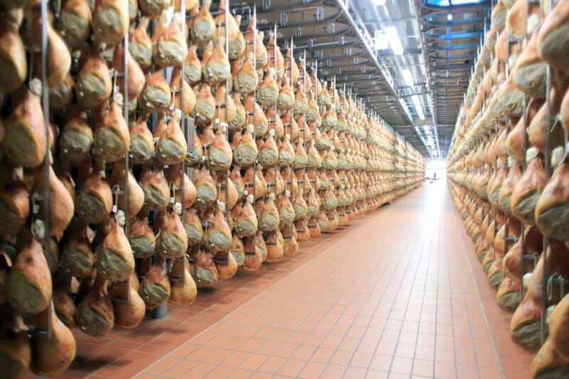 From Bologna or Modena: Parma Gastronomic Tour with Lunch - A Taste of Italy’s Food Valley: Parma Gastronomic Tour — What You Need to Know