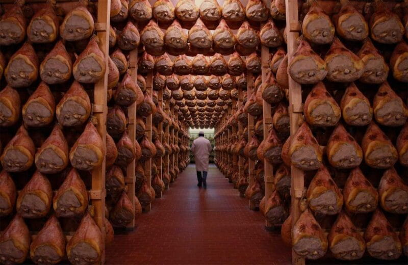 From Bologna: Parma Cheese & Ham Factory Tours and Tastings - Final Thoughts