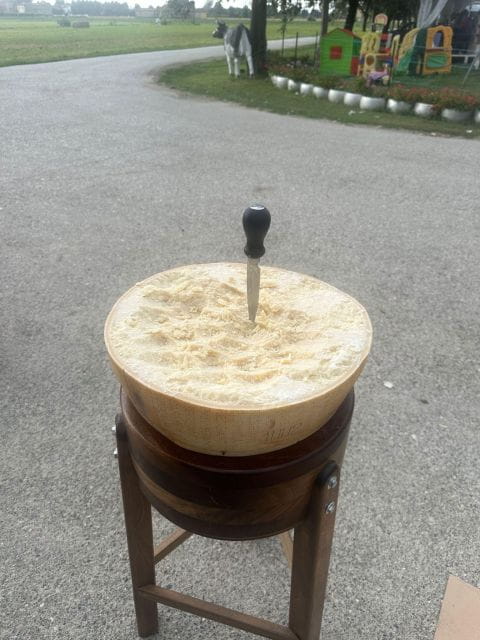 From Bologna: Parmesan Cheese & Balsamic Vinegar Tour+Lunch - Final Thoughts: Is This Tour Worth It?