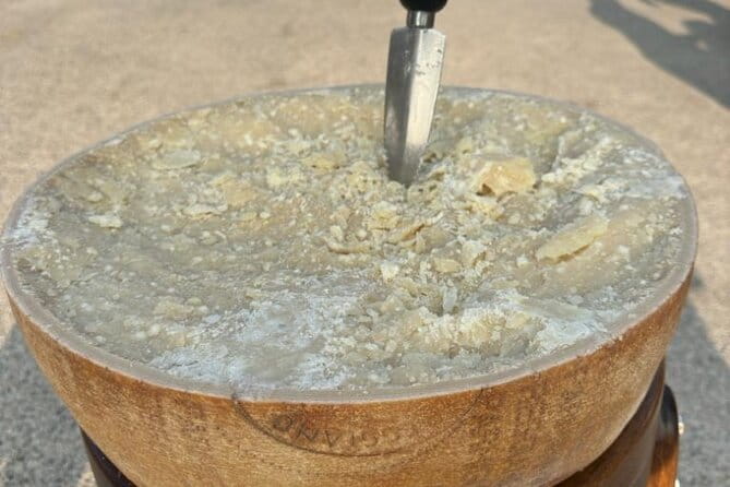 From Bologna: Parmesan Cheese & Balsamic Vinegar Tour+Lunch - Key points / Takeaways