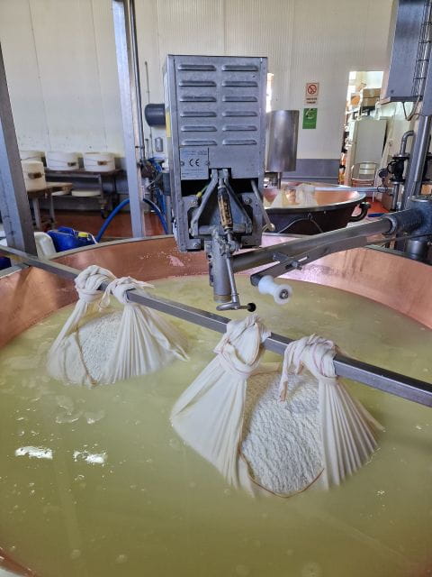 From Bologna: Parmesan, Vinegar, Lambrusco with Transfer - Key Points / Takeaways