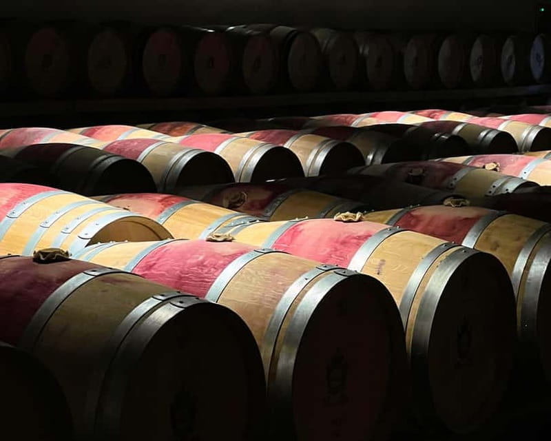 From Bordeaux: Afternoon Wine Tasting in the Medoc Region - Key Points / Takeaways