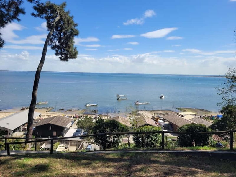 From Bordeaux: Cap Ferret Peninsula Private Tour, Ocean and Oyster Village - The Itinerary in Detail