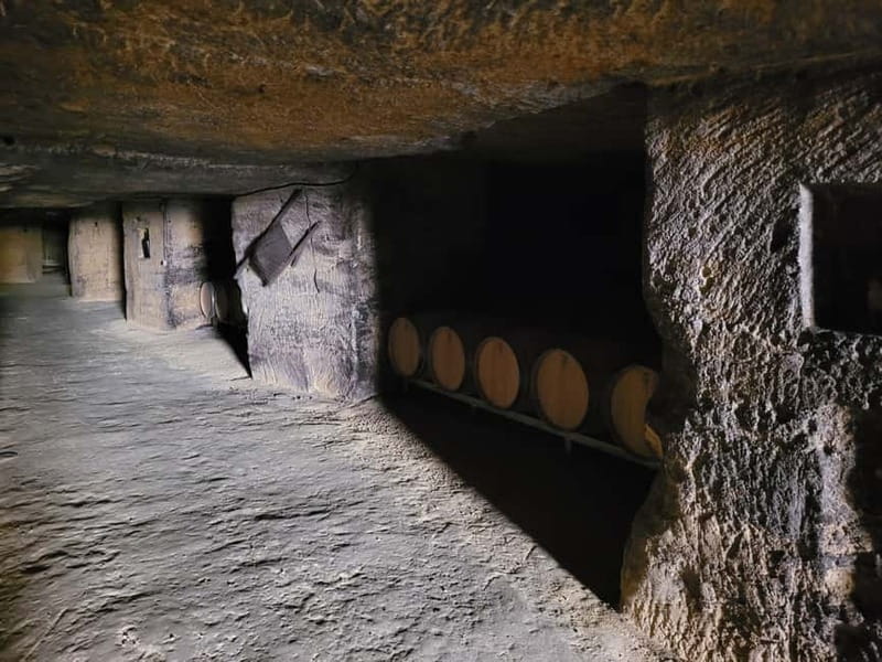 From Bordeaux: Private tour Monbazillac (Castle, Wine & Food in Dordogne) - Key points / Takeaways