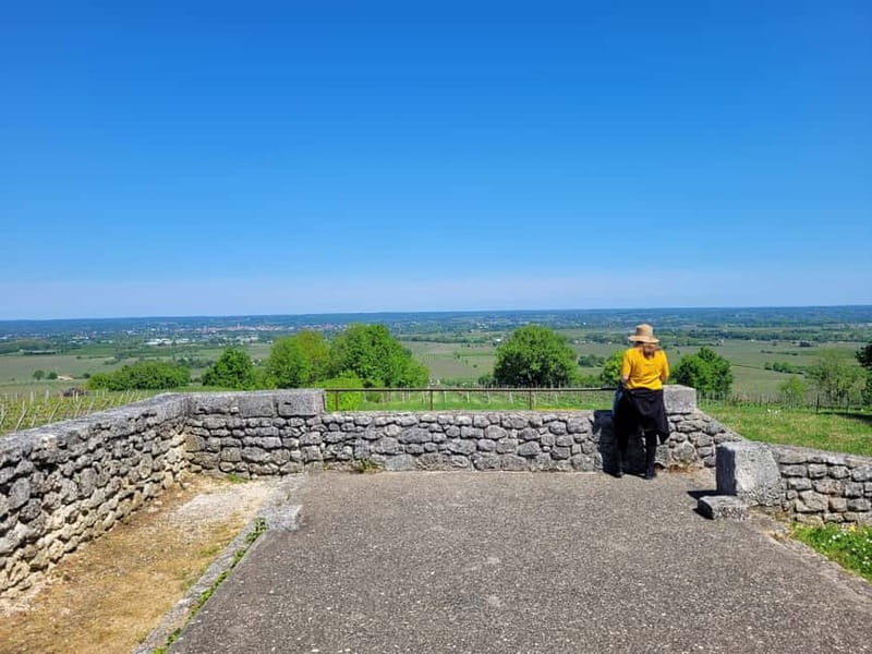 From Bordeaux: Private tour Monbazillac (Castle, Wine & Food in Dordogne) - Final Thoughts