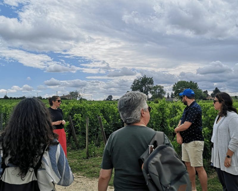 From Bordeaux: Saint-Émilion Half-Day Tour with Wine Tasting - Discovering Saint-Émilion: A Perfect Half-Day Escape