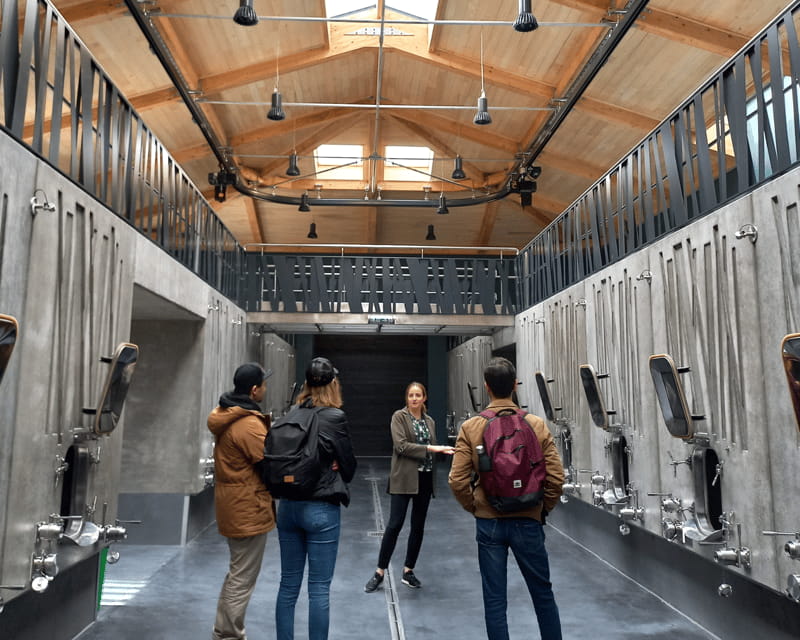 From Bordeaux: Saint-Émilion Half-Day Tour with Wine Tasting - Visiting the Organic Winery: A Sustainable Approach