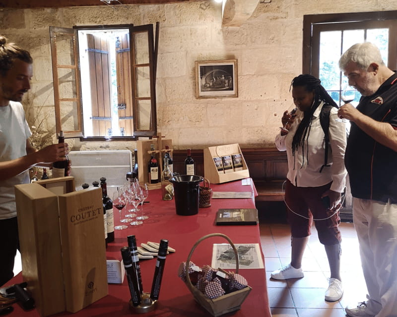 From Bordeaux: Saint-Émilion Half-Day Tour with Wine Tasting - Price and Value: Is It Worth It?
