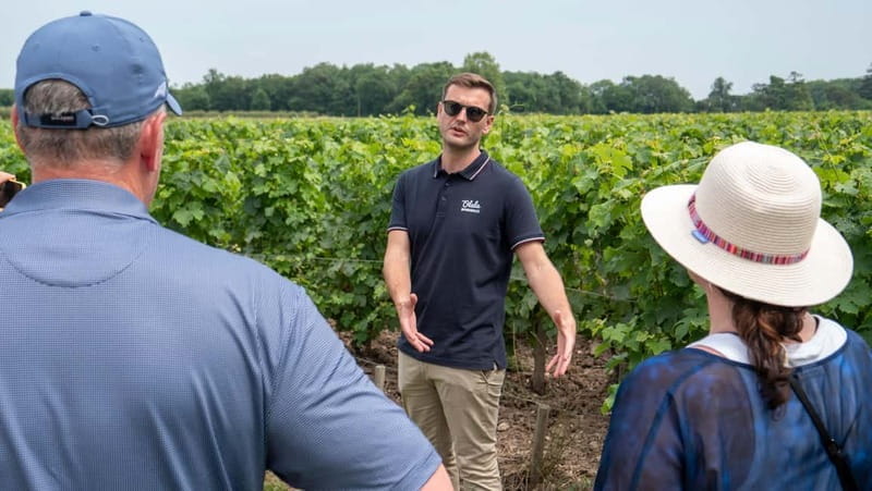 From Bordeaux: St-Emilion Day Tour with Tastings and Lunch - Who This Tour Is Perfect For