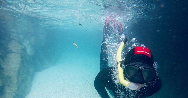 From Bovec: Soa Valley Snorkeling & Riverwalking - Key points / Takeaways