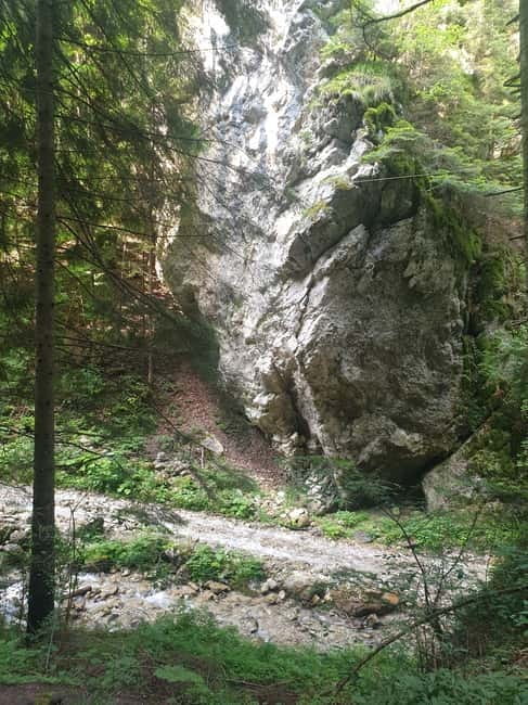 From Brasov : Hiking in Piatra Craiului National Park - Starting Point: From Brasov to Zarnesti