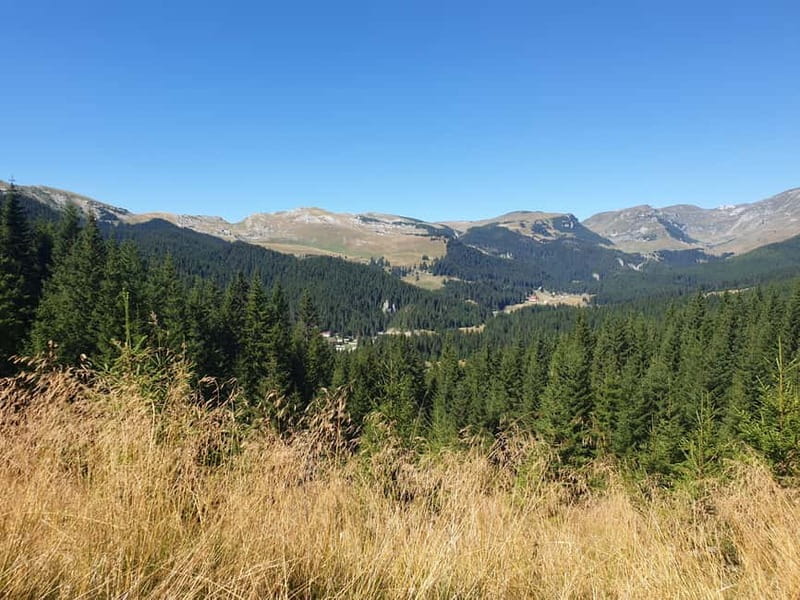 From Brasov : Hiking in Piatra Craiului National Park - Who Will Love It?