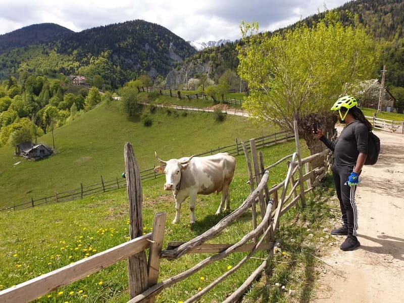 From Brasov : Piatra Craiului National Park on Ebike - Why This Tour Provides Great Value