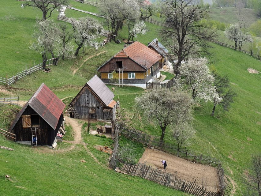 From Brasov: Romanian Mountain Villages Day Tour - Experience and Highlights