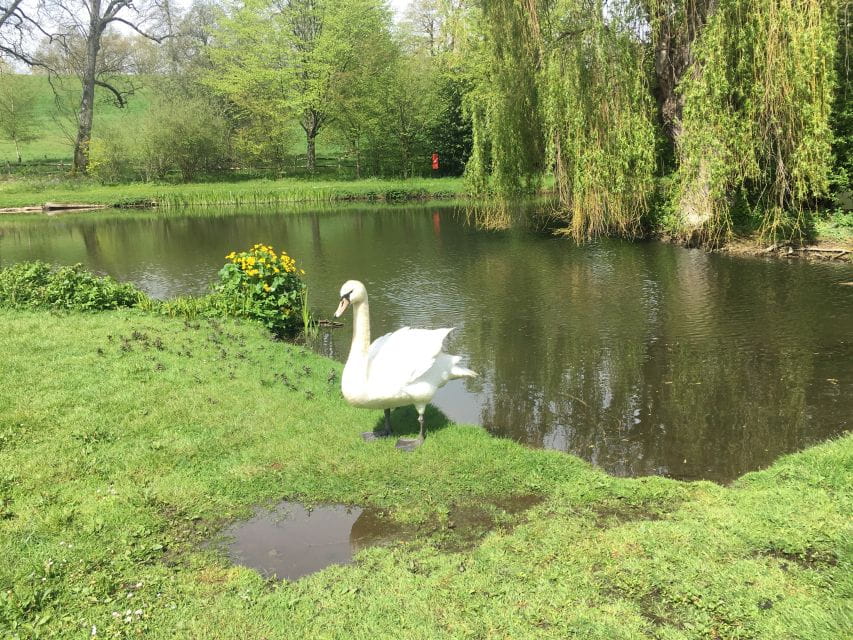 From Brighton: Leeds Castle & Canterbury Full-Day Trip - Flexibility and Booking