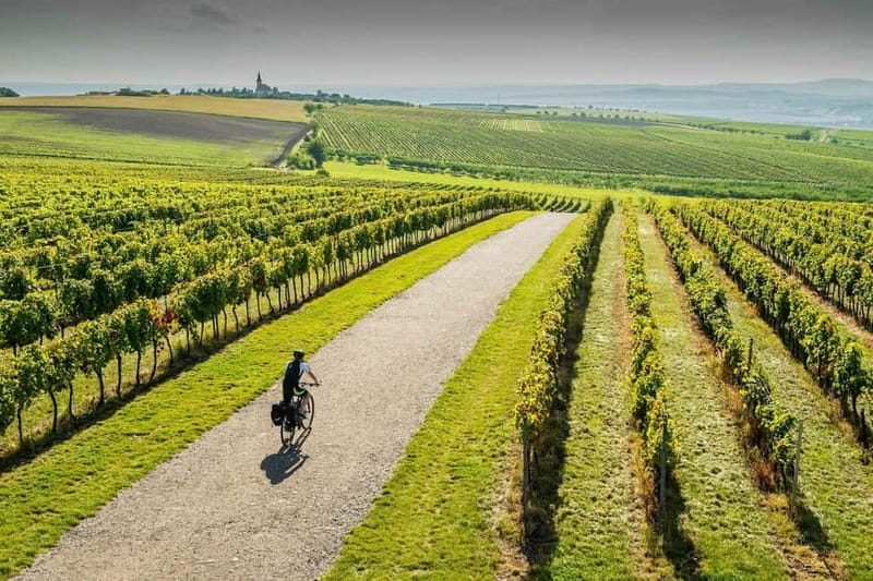 From Brno: Moravian Tuscany E-Bike Tour with Wine Tasting - An In-Depth Look at the Moravian Tuscany E-Bike Tour