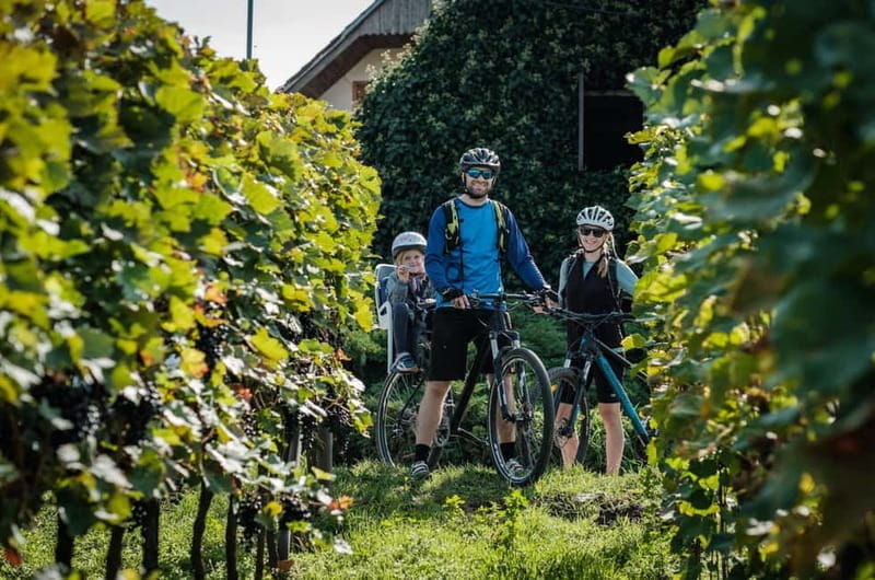 From Brno: Moravian Tuscany E-Bike Tour with Wine Tasting - Final Thoughts: A Perfect Blend of Activity, Culture, and Scenery