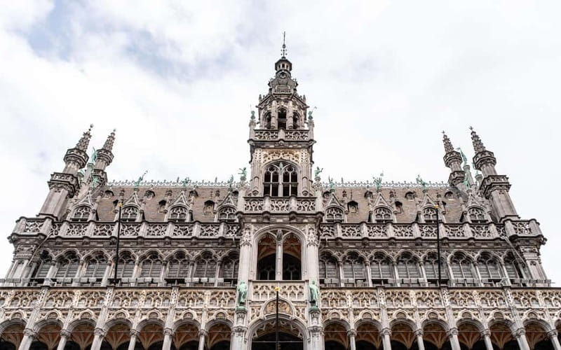 From Brussels: Brussels Contrasts Tour + Excursion to Leuven - Discovering Brussels and Leuven: A Practical Guide