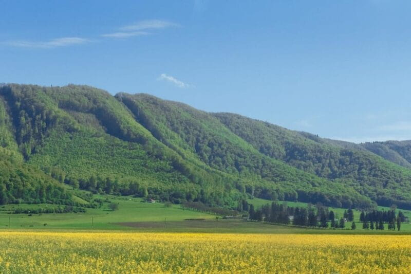 From Bucharest: Bear Sanctuary and 7 Ladders Canyon Day Trip - Getting Started and Transportation