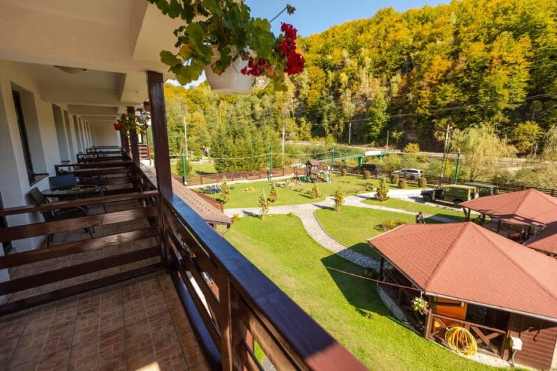 From Bucharest: Brdetu 4x4 Tour with Lunch, Hotel Pick-Up - Key points / Takeaways